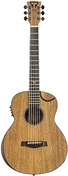 トラベラー アコースティックギターREDLANDS エレアコ仕様 mt0113687_m.jpg